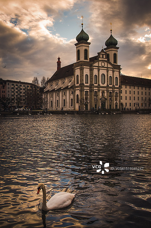 耶穌會教堂前的天鹅图片素材