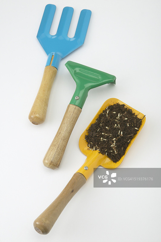 花园铲子、锄头和叉子图片素材