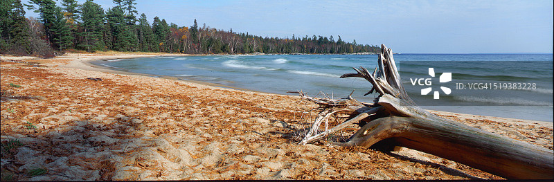 沙滩上的浮木图片素材