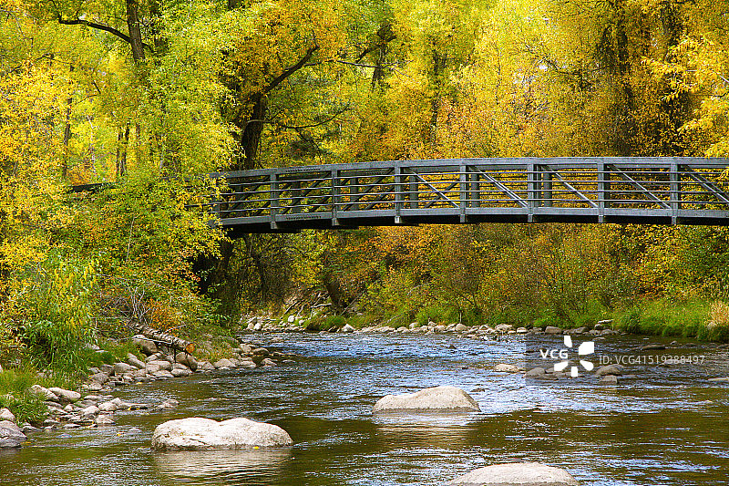 阿斯彭的秋天图片素材