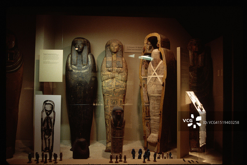 菲尔德博物馆的木乃伊箱图片素材
