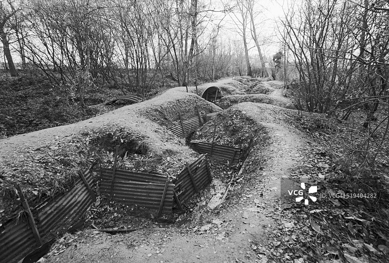 圣殿森林中的战壕图片素材