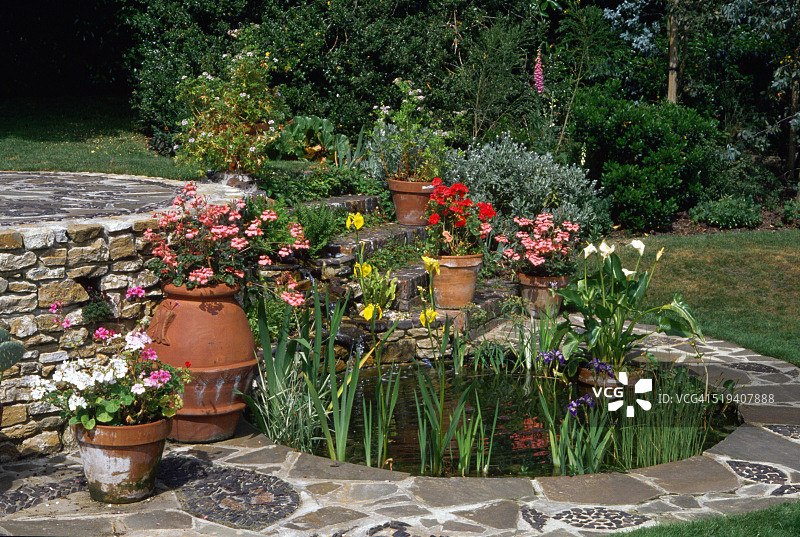 花园池塘与边缘植物图片素材