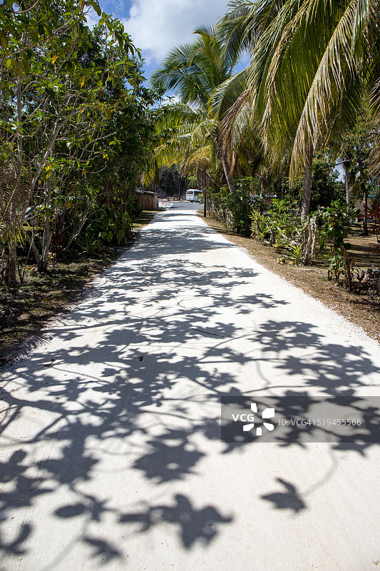 新喀里多尼亚利富岛的小路图片素材