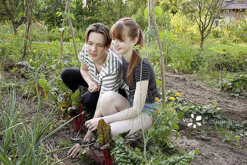 乡村的一天图片素材
