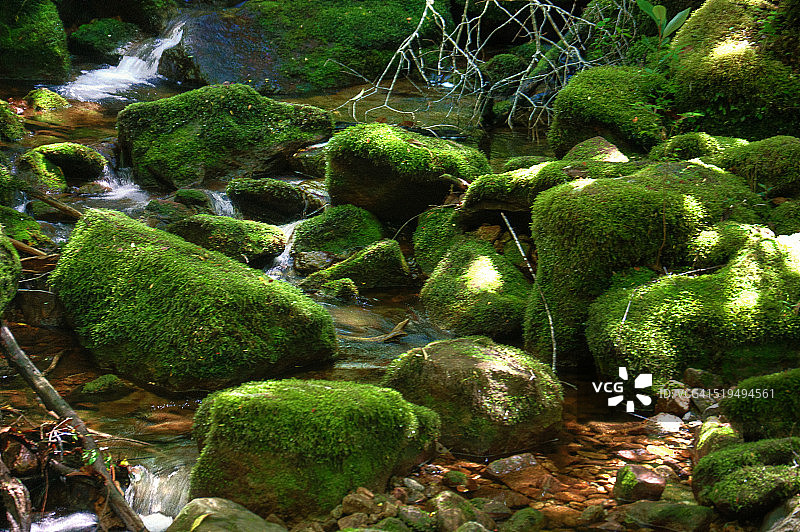 智利巴塔哥尼亚的苔藓和石头图片素材