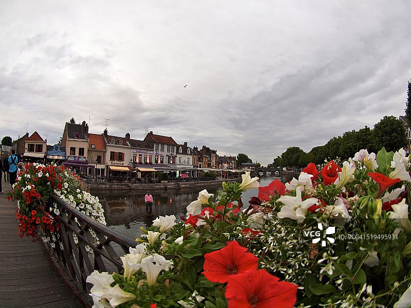 绽放的亚眠图片素材