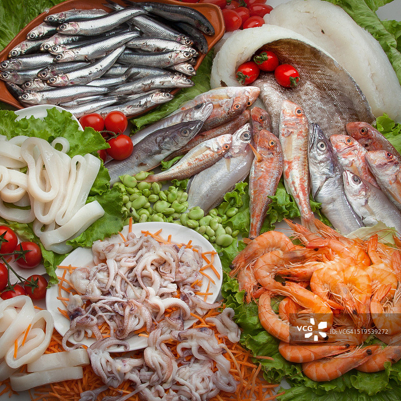 美食鱼类食材组合图片素材