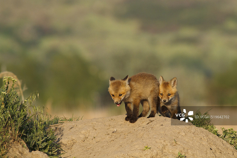 快乐时光图片素材