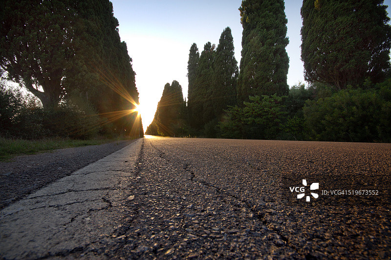 意大利托斯卡纳卡斯塔涅托卡尔杜奇博尔盖里道路和柏树图片素材