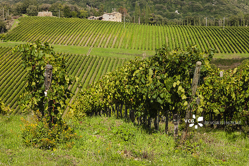 布罗利奥城堡附近的风景图片素材