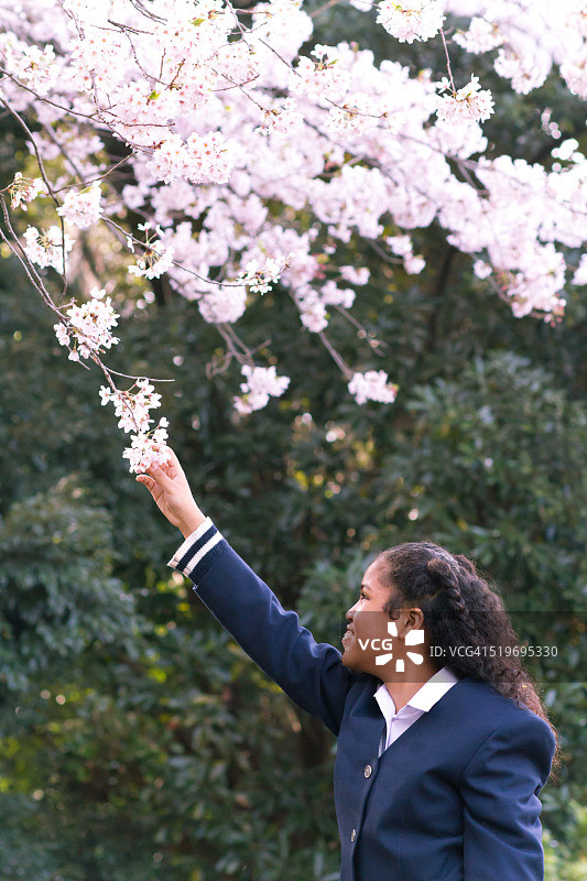 樱花树下的女学生图片素材