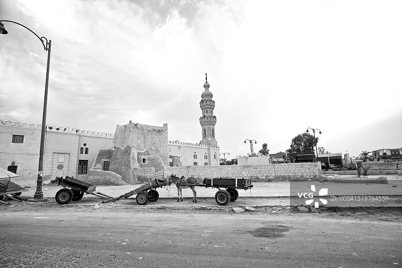 位于埃及西部沙漠地区的历史古镇锡瓦图片素材