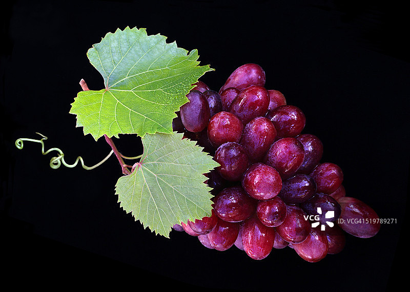 黑色背景上的美味红色葡萄和叶子图片素材
