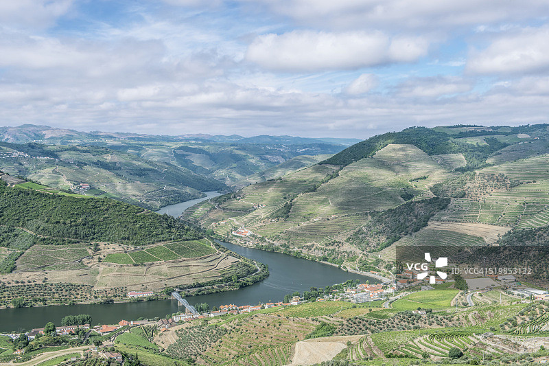 杜罗河与葡萄园图片素材