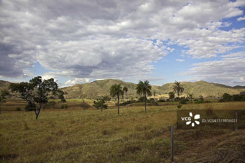 巴西稀树草原图片素材