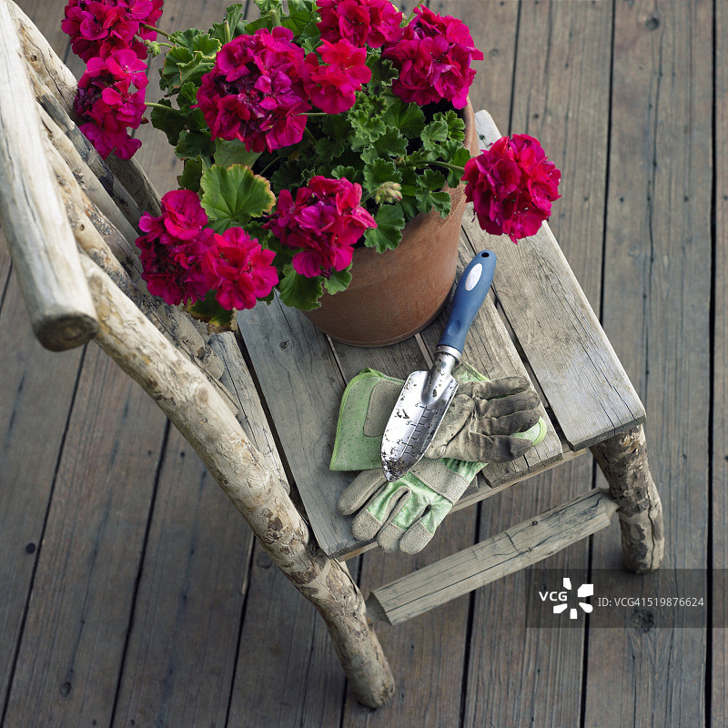乡村椅子上的园艺工具和植物图片素材