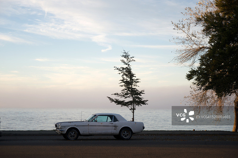 Mustang Sally图片素材