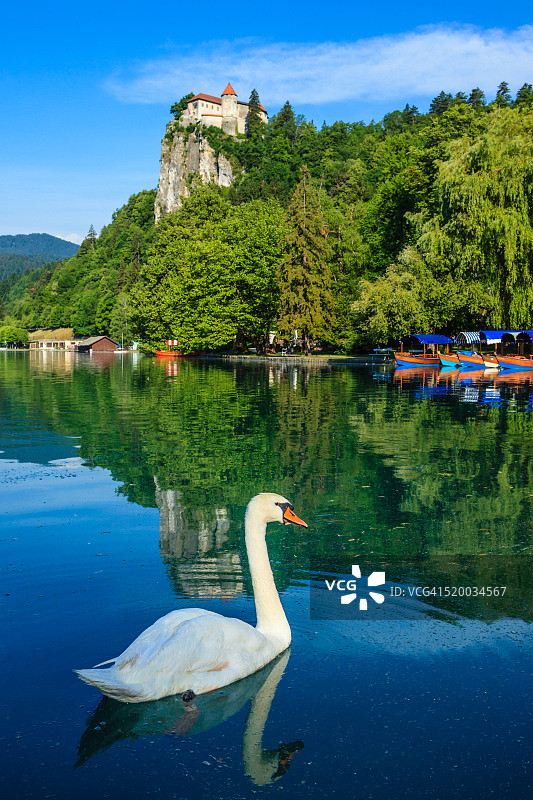 湖流血图片素材