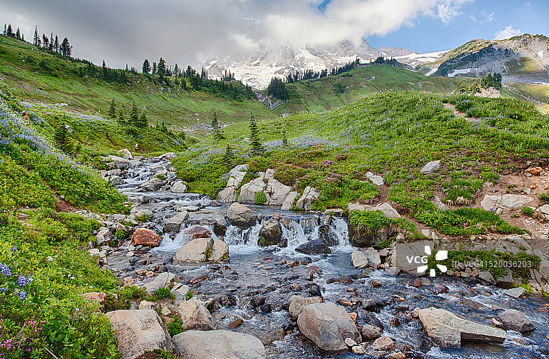 雷尼尔山国家公园溪流HDR图像图片素材