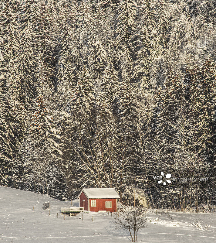 夕阳下的女孩图片素材
