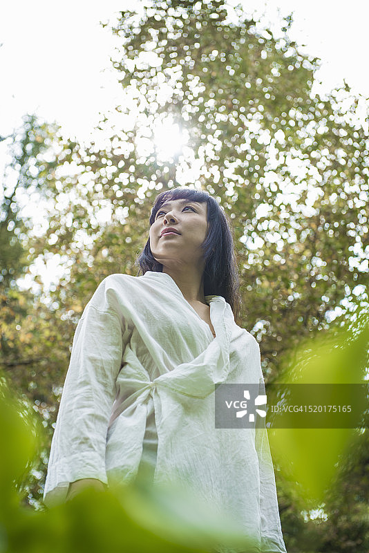 仲夏夜之梦图片素材