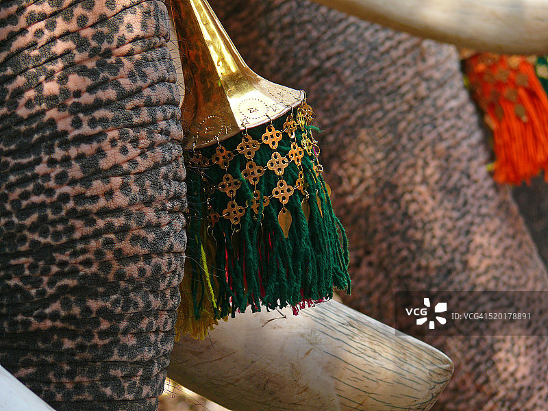 Nettippattom图片素材