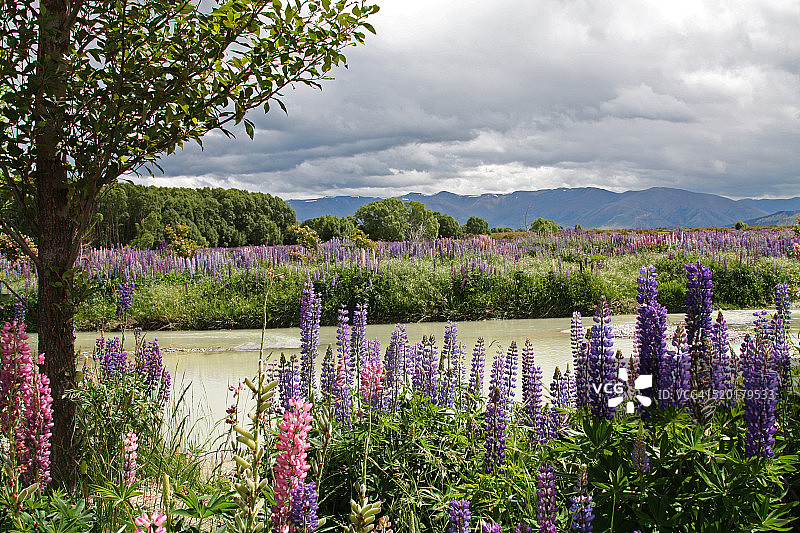 阿胡里里河图片素材