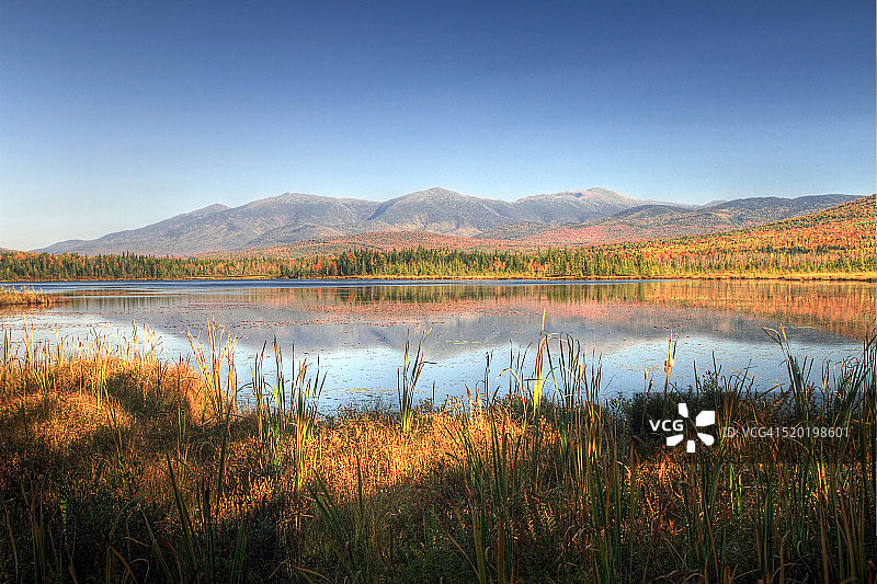 樱桃池塘景观图片素材