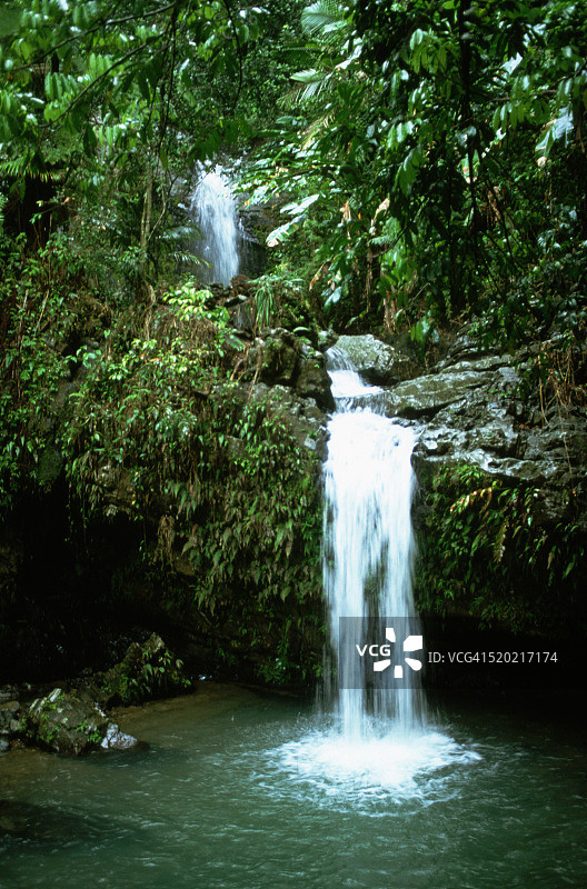 云雀热带雨林的瀑布图片素材