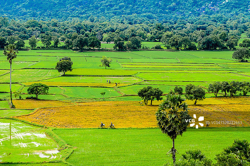 朱笃人民的日常生活图片素材