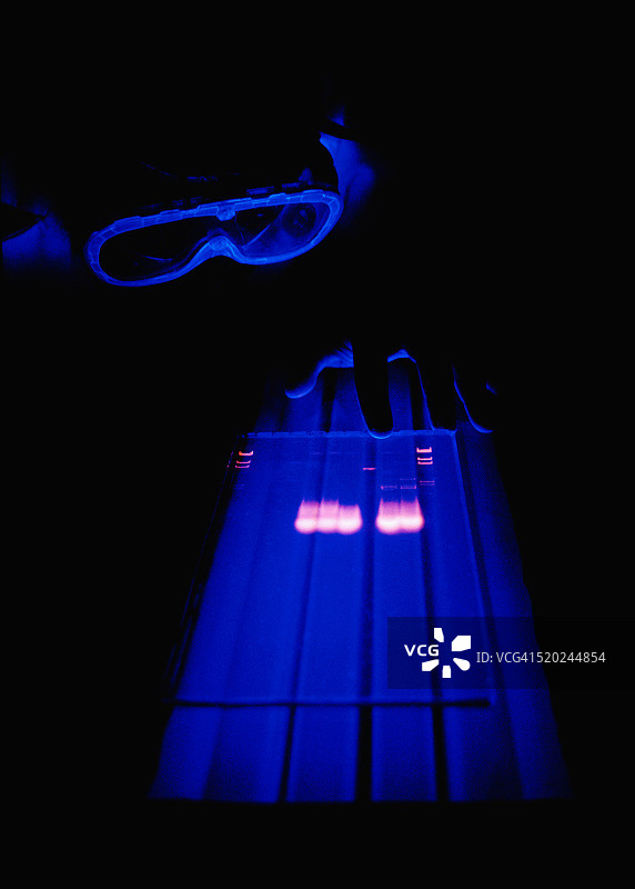 技术员在紫外线下检查化学品图片素材