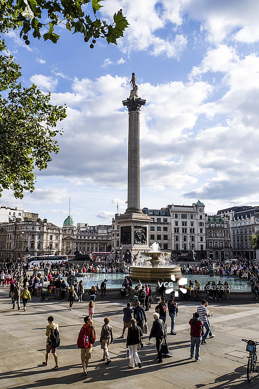 伦敦特拉法加广场的纳尔逊纪念柱图片素材