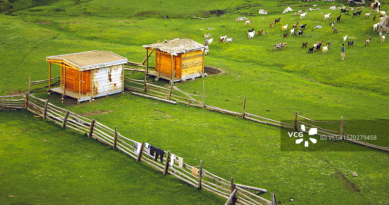 童话草甸图片素材