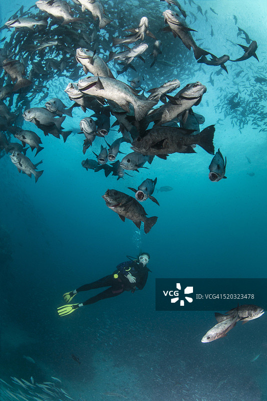 帕劳 - 密克罗尼西亚图片素材