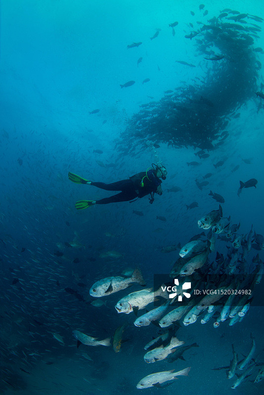 帕劳 - 密克罗尼西亚图片素材