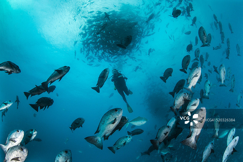 帕劳 - 密克罗尼西亚图片素材
