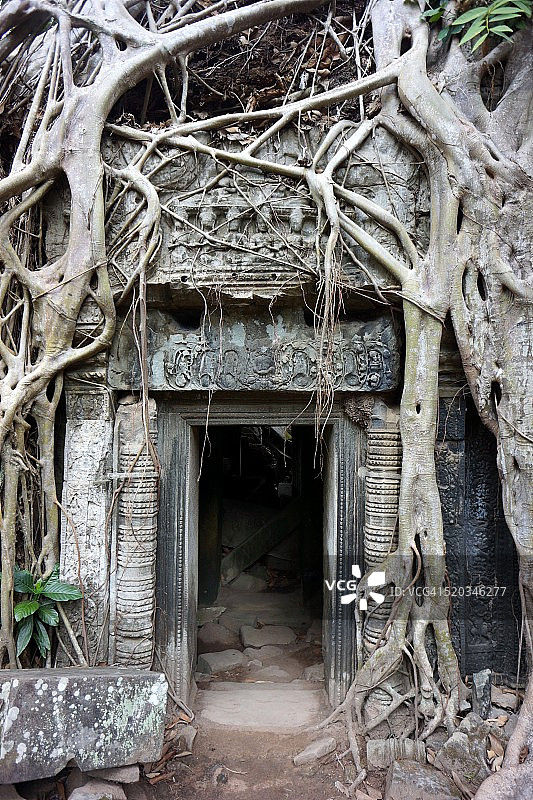 植被过盛的寺庙入口图片素材