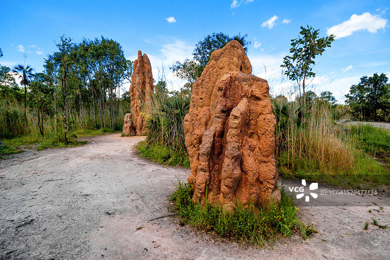 李治菲尔德国家公园的磁性白蚁丘，澳大利亚北部地区图片素材