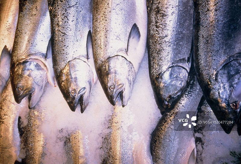 市场上冰镇的帝王鲑鱼图片素材