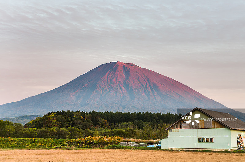 秋日傍晚的农舍与羊蹄山图片素材