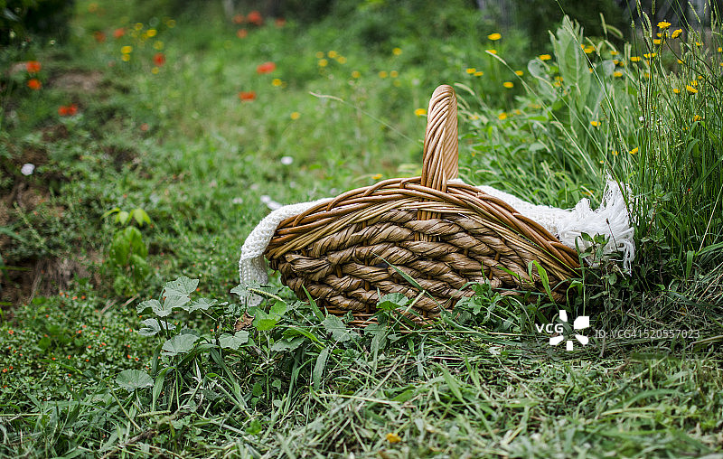 野餐篮图片素材