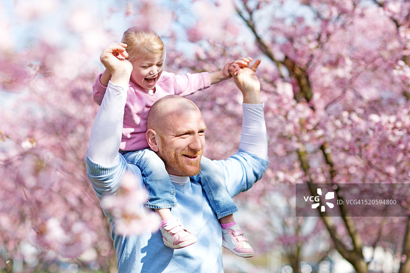 父女在樱花树下微笑图片素材
