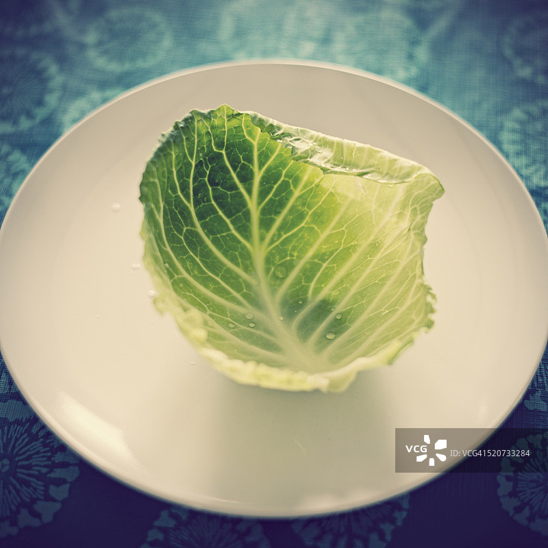 白色盘子上带水滴的绿色卷心菜叶特写图片素材