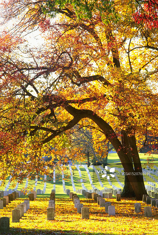 秋天的阿灵顿国家公墓图片素材