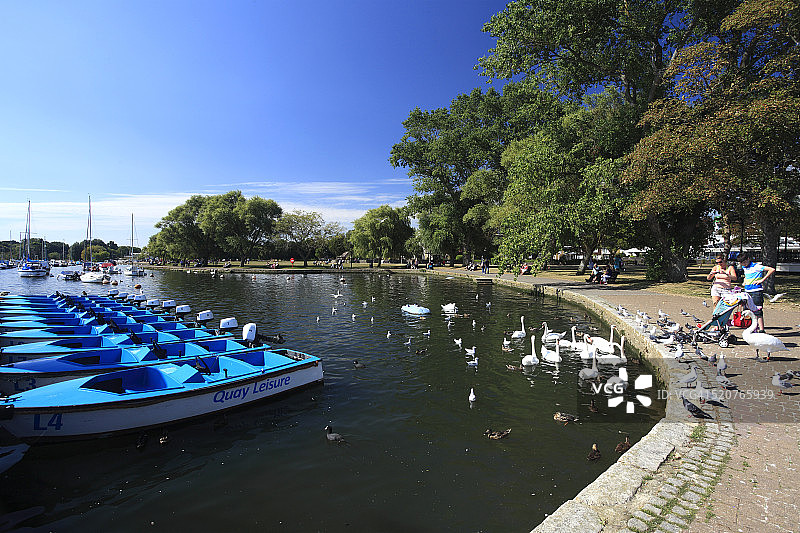 基督城海港的夏季景色图片素材