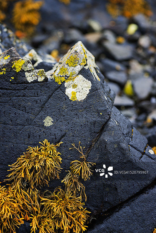 自然艺术作品图片素材