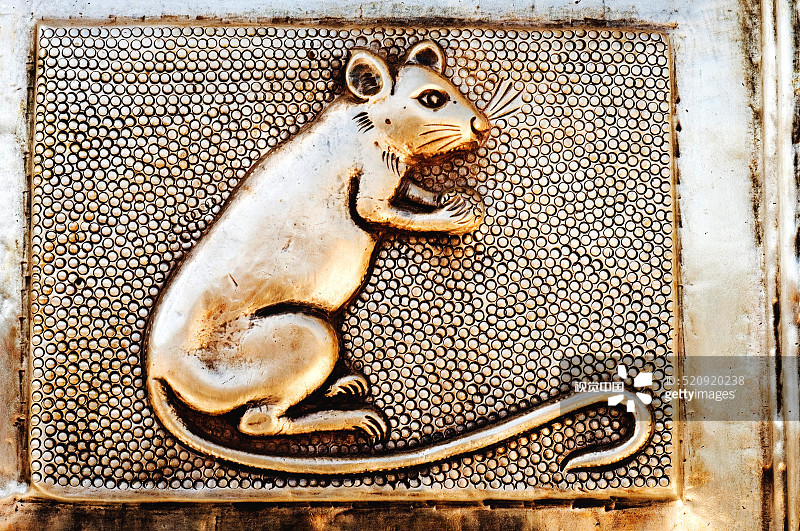 卡尔尼·玛塔神庙中的银色老鼠，位于印度拉贾斯坦邦比卡内尔图片素材