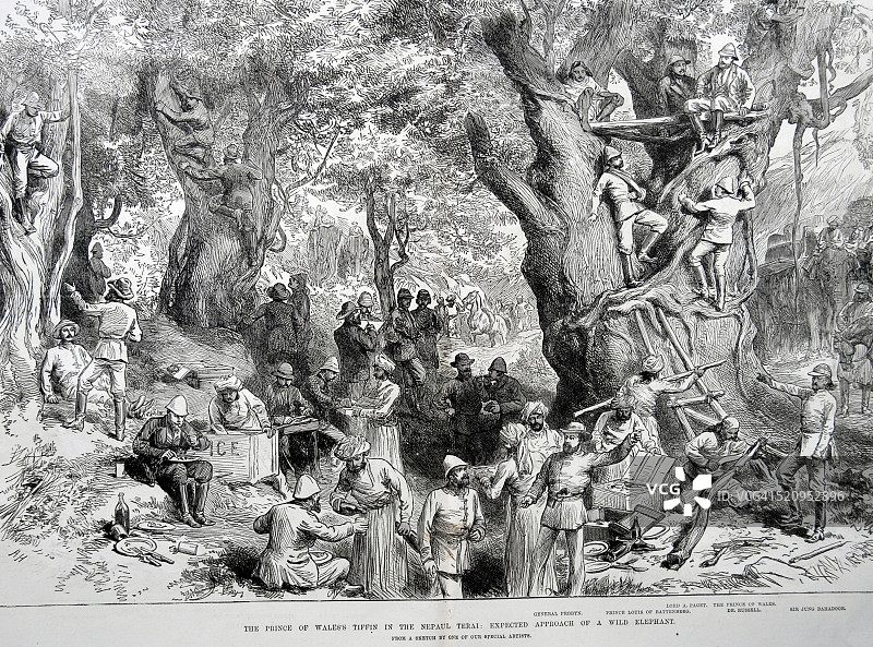 威尔士王子尼泊尔之旅：野生象接近图片素材