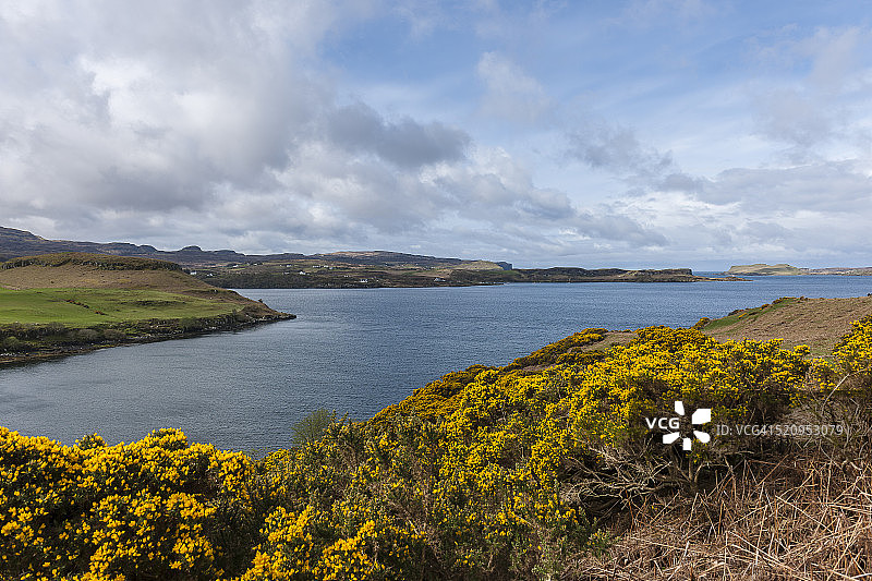 哈波特湖周边景观图片素材